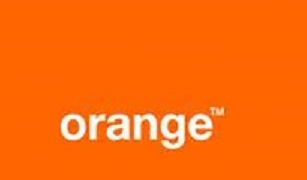 Osobní asistentky - orange